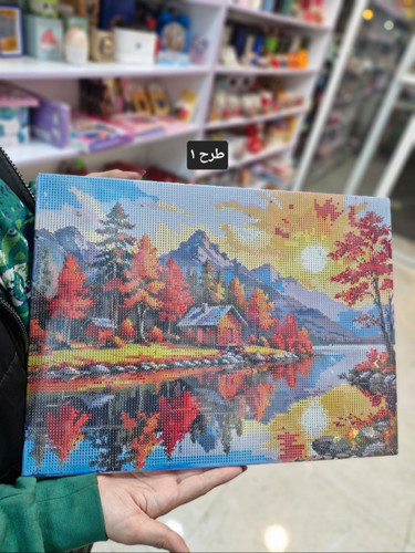 نقاشی الماسی بوم ۳۰ در ۴۰